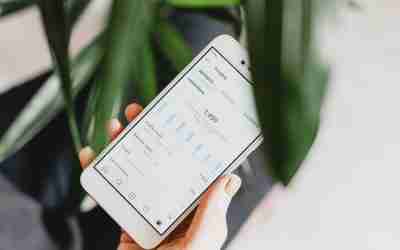 Exploring The Link Between Social Media and SEO