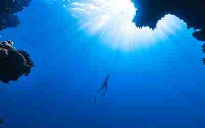 The Role of AI in Personalizing Customer Experiences