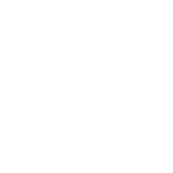 Tridigiam 404 Icon Glitch Not Found
