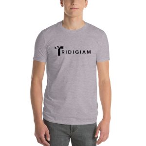 Unisex Lightweight T-Shirt Heather Grey Front