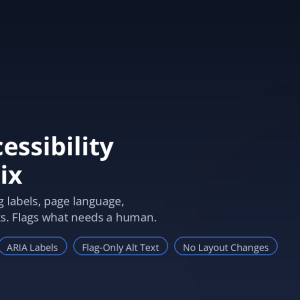 Tridigiam Divi Accessibility Quick-Fix